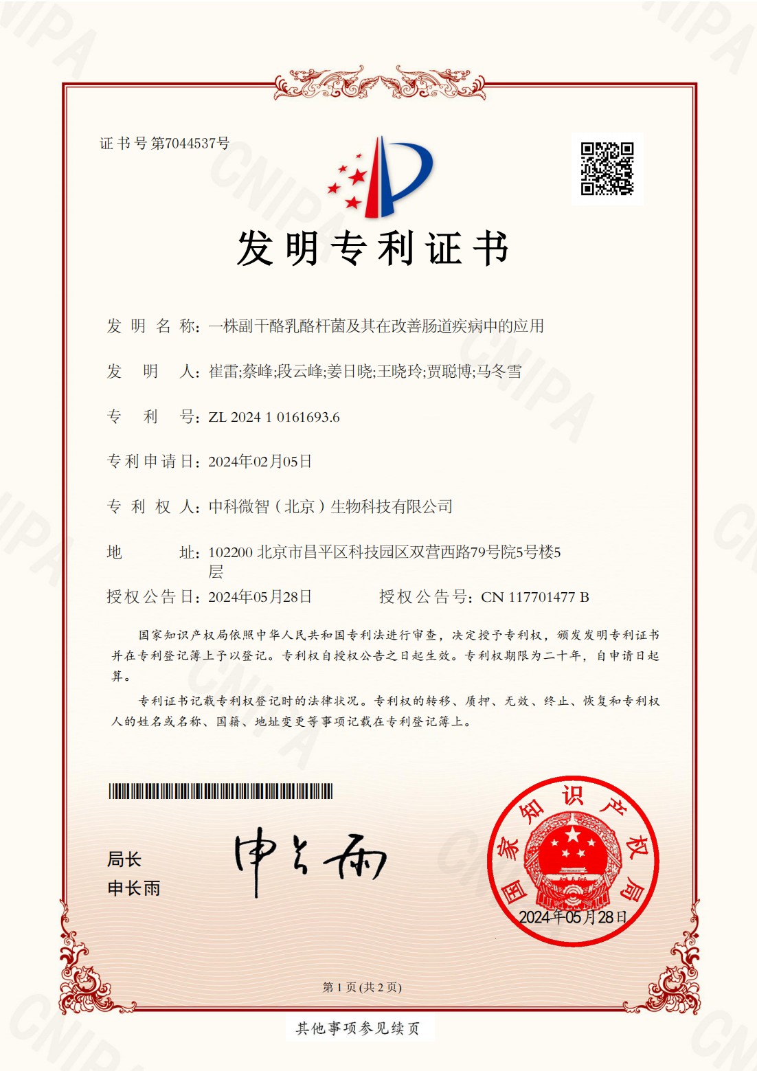 一株副干酪乳酪杆菌及其在改善肠道疾病中的应用
